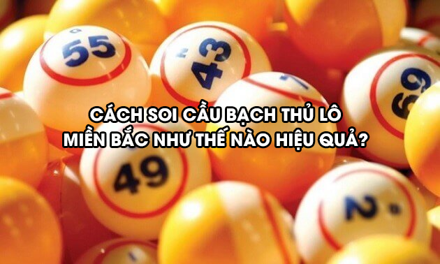 soi-cau-bach-thu-lo-mien-bac-hieu-qua